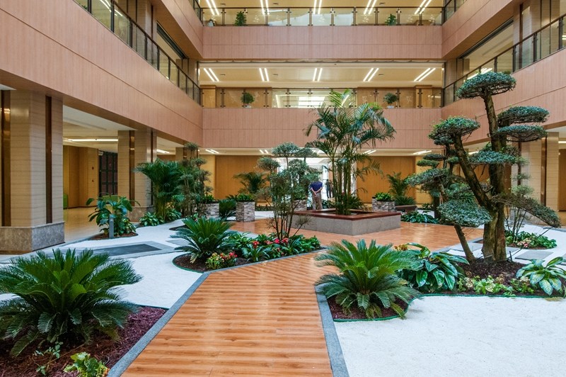 濰坊市中醫(yī)院東院區(qū)景觀(guān)綠化工程